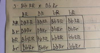 Answered: Questions: A. What Is Probability Of… | Bartleby