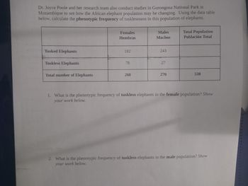Dr. Joyce Poole and her research team also conduct studies in Gorongosa National Park in
Mozambique to see how the African elephant population may be changing. Using the data table
below, calculate the phenotypic frequency of tusklessness in this population of elephants.
Tusked Elephants
Tuskless Elephants
Total number of Elephants
Females
Hembras
182
78
260
Males
Machos
243
27
270
Total Population
Población Total
530
1. What is the phenotypic frequency of tuskless elephants in the female population? Show
your work below.
2. What is the phenotypic frequency of tuskless elephants in the male population? Show
your work below.
***