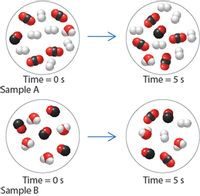 Time = 0 s
Sample A
Time = 5 s
Time = 0s
Sample B
Time = 5 s
