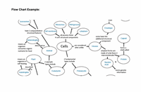 Flow Chart Example:
Trom
lysosomes
Ribosomes
DNA/genome
Envelope
have 2 unique/distinct
structural features
Cell membrane
cytoplasm
all possess these
4 core structural components
some have this
additional structural
Capsid
(Heterotrophic
component
means an
are considered
alive unlike
described as
Cells
Viruses
organism
consumes organic
forms a
shell called
simplest forms are
made of only these 2
macromolecules
nutrients for food
Animal
means an
Plant
2 fundamental
Protein
organism is
self-feeding
types include
2 ехample
types include
Nucleic
&
Acid
described
as
stores genetic
information
Eukaryotic
Prokaryotic
Autotrophic
