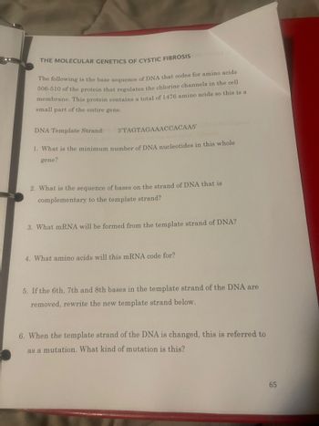 THE MOLECULAR GENETICS OF CYSTIC FIBROSIS and of
The following is the base sequence of DNA that codes for amino acids
506-510 of the protein that regulates the chlorine channels in the cell
membrane. This protein contains a total of 1476 amino acids so this is a
small part of the entire gene.
DNA Template Strand: 3'TAGTAGAAACCACAA5'
1. What is the minimum number of DNA nucleotides in this whole
gene?
2. What is the sequence of bases on the strand of DNA that is
complementary to the template strand?
3. What mRNA will be formed from the template strand of DNA?
4. What amino acids will this mRNA code for?
5. If the 6th, 7th and 8th bases in the template strand of the DNA are
removed, rewrite the new template strand below.
6. When the template strand of the DNA is changed, this is referred to
as a mutation. What kind of mutation is this?
65