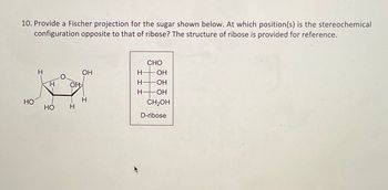 10. Provide a Fischer projection for the sugar shown below. At which position(s) is the stereochemical
configuration opposite to that of ribose? The structure of ribose is provided for reference.
HO
H
H
HO
CHO
OH
H-
OH
H-
OH
ОНА
H-OH
H
H-
CH2OH
D-ribose