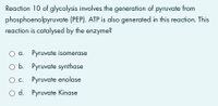 Reaction 10 of glycolysis involves the generation of pyruvate from
phosphoenolpyruvate (PEP). ATP is also generated in this reaction. This
reaction is catalysed by the enzyme?
a. Pyruvate isomerase
O b. Pyruvate synthase
C.
Pyruvate enolase
O d. Pyruvate Kinase
