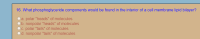 16. What phosphoglyceride components would be found in the interior of a cell membrane lipid bilayer?
a. polar "heads" of molecules
b. nonpolar "heads" of molecules
O C. polar "tails" of molecules
d. nonpolar "tails" of molecules
