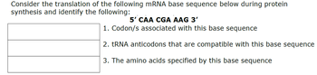 Consider the translation of the following mRNA base sequence below during protein
synthesis and identify the following:
5' CAA CGA AAG 3'
1. Codon/s associated with this base sequence
2. tRNA anticodons that are compatible with this base sequence
3. The amino acids specified by this base sequence