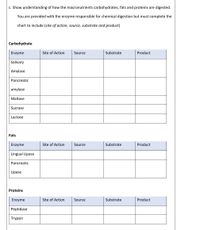 c. Show understanding of how the macronutrients carbohydrates, fats and proteins are digested.
You are provided with the enzyme responsible for chemical digestion but must complete the
chart to include (site of action, source, substrate and product)
Carbohydrate
Enzyme
Site of Action
Source
Substrate
Product
Salivary
Amylase
Pancreatic
amylase
Maltase
Sucrase
Lactase
Fats
Enzyme
Site of Action
Source
Substrate
Product
Lingual Lipase
Pancreatic
Lipase
Proteins
Enzyme
Site of Action
Source
Substrate
Product
Peptidase
Trypsin
