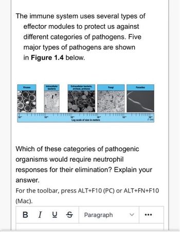 Answered: he immune system uses several types of…