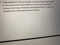 4. In dogs, the gene for fur color has two alleles. The dominant allele (F) codes for GREY
fur. The recessive allele (f) codes for black fur. 1) Create a Punnett square for the
crossing of a Heterozygous male dog and a female dog with black fur. 2) What is the
probability that the offspring will have black fur? Grey fur?
