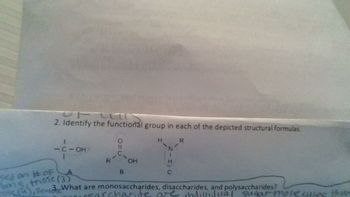 2. Identify the functional group in each of the depicted structural formulas.
<-C-OH
0=0
11
C
R
OH
T
A
B
C
Scan #OF
bons, those (3)
R
Pen 3 What are monosaccharides, disaccharides, and polysaccharides?
haride
Jividual sugar molecu