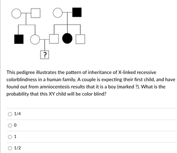 This pedigree illustrates the pattern of inheritance of X-linked recessive
colorblindness in a human family. A couple is expecting their first child, and have
found out from amniocentesis results that it is a boy (marked ?). What is the
probability that this XY child will be color blind?
1/4
1
?
1/2