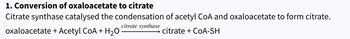 1. Conversion of oxaloacetate to citrate
Citrate synthase catalysed the condensation of acetyl CoA and oxaloacetate to form citrate.
citrate synthase
oxaloacetate + Acetyl CoA + H₂O
citrate + COA-SH