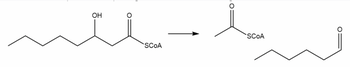 The image depicts a chemical reaction involving two organic compounds.

**Left Structure:**
- The structure on the left represents 3-hydroxyacyl-CoA.
- It consists of a seven-carbon chain with a hydroxyl group (OH) attached to the third carbon from the left.
- A carbonyl group (C=O) is attached at the sixth carbon, which is bound to a thioester (SCoA) group.

**Reaction Arrow:**
- An arrow points to the right, indicating the progression of the reaction.

**Right Structure:**
- The structure on the right shows two distinct molecules.
- The first molecule is an acyl-CoA, characterized by a three-carbon chain ending with a carbonyl group (C=O) linked to the SCoA group.
- The second molecule is a six-carbon chain with a terminal carbonyl group at one end.

This reaction is a typical step in the beta-oxidation of fatty acids, specifically the cleavage of 3-hydroxyacyl-CoA into acetyl-CoA and a shorter acyl-CoA.