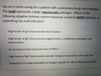 You are a nurse caring for a patient with a pulmonary (lung) mold infection,
The mold represents a large, macroscopic pathogen. Which of the
following adaptive immune system responses would be MOST effective at
controlling the mold infection?
O High levels of IgA that promote neutralization
O High levels of IgG that promotes agglutination, complement activation, and
opsonization
An increase in host cell production of MHC I
High levels of IgE that promote vascular change in association with mast cells
O Production of a large population of antigen-specific Tc cells to destroy mold cells
