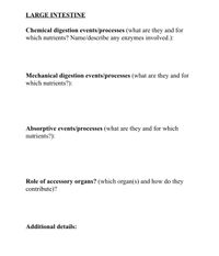 LARGE INTESTINE
Chemical digestion events/processes (what are they and for
which nutrients? Name/describe any enzymes involved.):
Mechanical digestion events/processes (what are they and for
which nutrients?):
Absorptive events/processes (what are they and for which
nutrients?):
Role of accessory organs? (which organ(s) and how do they
contribute)?
Additional details:
