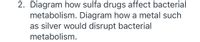 2. Diagram how sulfa drugs affect bacterial
metabolism. Diagram how a metal such
as silver would disrupt bacterial
metabolism.
