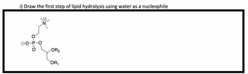 i) Draw the first step of lipid hydrolysis using water as a nucleophile
LOR₂
OR₁