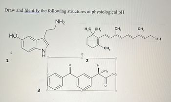 Draw and Identify the following structures at physiological pH
NH₂
1
НО.
3
ZI
H₂C CH₂
2
H
CH,
11 CH 3
CH₂
OH
CH,
OH