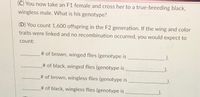 (C) You now take an F1 female and cross her to a true-breeding black,
wingless male. What is his genotype?
(D) You count 1,600 offspring in the F2 generation. If the wing and color
traits were linked and no recombination occurred, you would expect to
count:
# of brown, winged flies (genotype is
).
# of black, winged flies (genotype is
# of brown, wingless flies (genotype is
# of black, wingless flies (genotype is
