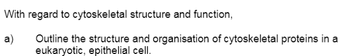 With regard to cytoskeletal structure and function,
a) Outline the structure and organisation of cytoskeletal proteins in a
eukaryotic, epithelial cell.