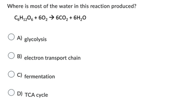 Where is most of the water in this reaction produced?
C6H1206 +60₂6CO₂ + 6H₂O
O A)
A) glycolysis
B) electron transport chain
C) fermentation
OD) TCA cycle