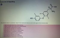 Endocrine & Signalling
26.
HO-
NH2
HO-
The molecule above is a hormone. Select FOUR statements that are correct with regard to this moelcule below.
This is the least active form of this hormone
There is another more active form of this hormone
This molecule is derived from tyrosine
This hormone stimulates fat metabolism
Biosynthesis of this molecule requires iodine
This molecule is a tryptophan metabolite
This hormone targets two specific receptors
This hormone stimulates fat storage
This molecule is derived from cholesterol
This hormone is synthesised in the adrenals
