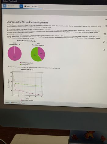Biology Practice #2
Question
Changes in the Florida Panther Population
Florida panthers are a subspecies of cougars that live in the wetlands and forests of southern Florida. They are strict carnivores. Their diet consists mostly of deer, wild hogs, and livestock. Florida
panthers need a large habitat in order to successfully hunt, reproduce, and raise their young.
During the last century, the Florida panther population has experienced habitat fragmentation due to the construction of roads, urbanization, mining, and agriculture. This fragmentation has led to
an increase in inbreeding within their population. Inbreeding occurs when closely-related animals mate and produce offspring. Inbred animals have a higher risk of inheriting genetic diseases,
which often reduces their survival or ability to reproduce.
1995
Population size = 26
To conserve the population of Florida panthers, a team of scientists introduced eight Texas panthers to Florida in 1996. Texas panthers are a closely related subspecies of cougars. After the Texas
panthers were introduced, the scientists tracked the populations of pure Florida panthers and hybrid panthers produced from Florida and Texas panther crosses. The pie charts show the changes
in the Florida panther population between 1995 and 2007.
Panther Population in Florida
Survivorship (⁹)
»
100
80
100%
0
Pause Q Zoom
pure Florida panthers
hybrid panthers
The graph shows the percent survival by age for the pure Florida panthers and hybrid panthers in the Florida area.
Survival of Panthers
4
©2022 Illuminate Education, Inc.
2007
Population size = 102
6
62%
Age (yr)
pure Florida panthers
38%
8
10
WH
O
O