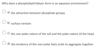 Why does a phospholipid bilayer form in an aqueous environment?
a) the attraction between phosphate groups
b) surface tension
c) the non-polar nature of the tail and the polar nature of the head
d) the tendency of the non-polar fatty acids to aggregate together