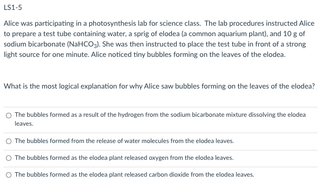 elodea plant in test tube