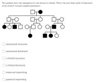 Answered: This pedigree shows the segregation of… | bartleby