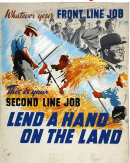 Whatever your FRONT LINE JOB
M
This is your
SECOND LINE JOB
LEND A HAND
ON THE LAND