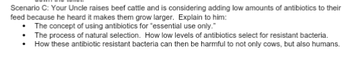 Scenario C: Your Uncle raises beef cattle and is considering adding low amounts of antibiotics to their
feed because he heard it makes them grow larger. Explain to him:
The concept of using antibiotics for "essential use only."
The process of natural selection. How low levels of antibiotics select for resistant bacteria.
How these antibiotic resistant bacteria can then be harmful to not only cows, but also humans.