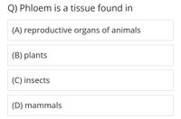 Q) Phloem is a tissue found in
(A) reproductive organs of animals
(B) plants
(C) insects
(D) mammals
