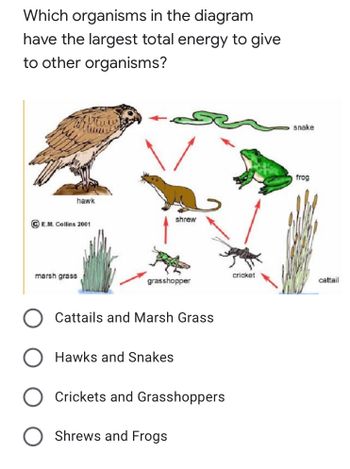 Answered: Which organisms in the diagram have the… | bartleby