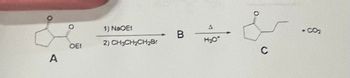 O
A
OE!
1) NaOE1
2) CH₂CH₂CH₂Br
B
A
C