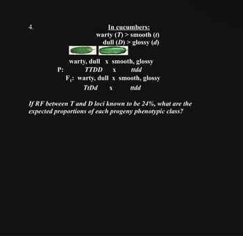 4.
In cucumbers:
warty (7) > smooth (t)
dull (D) > glossy (d)
warty, dull x smooth, glossy
TTDD X
P:
ttdd
F₁: warty, dull x smooth, glossy
ttdd
TtDd X
If RF between T and D loci known to be 24%, what are the
expected proportions of each progeny phenotypic class?