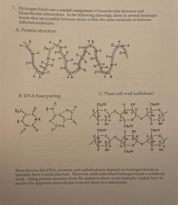 cellulose structure hydrogen bonds