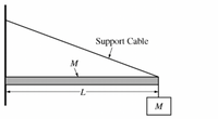 Support Cable
M
M
