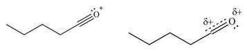 Organic Chemistry-Package(Custom), Chapter 16, Problem 16.6P , additional homework tip  7