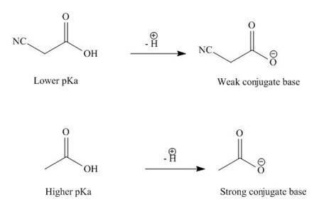 Organic Chemistry - With Access (Custom), Chapter 19, Problem 19.37P , additional homework tip  8