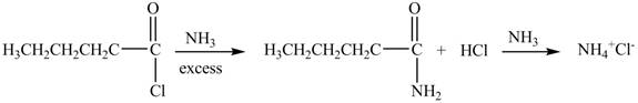 Organic Chemistry - Access (Custom), Chapter 22, Problem 22.45P , additional homework tip  8