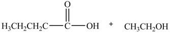 KCTCS Organic Chemistry Value Edition (Looseleaf) - Text Only, Chapter 22, Problem 22.48P , additional homework tip  2
