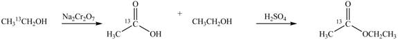 Organic Chemistry - With Access (Custom), Chapter 22, Problem 22.75P , additional homework tip  3