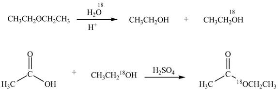 Organic Chemistry - Access (Custom), Chapter 22, Problem 22.75P , additional homework tip  5