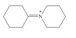 Organic Chemistry (Looseleaf), Chapter 25, Problem 25.65P , additional homework tip  16