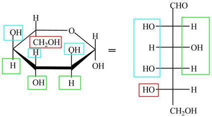 Organic Chemistry - Access (Custom), Chapter 28, Problem 28.47P , additional homework tip  6