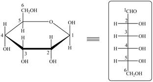Organic Chemistry (Looseleaf), Chapter 28, Problem 28.47P , additional homework tip  12