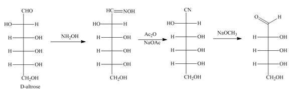 Organic Chemistry (Looseleaf), Chapter 28, Problem 28.51P , additional homework tip  11