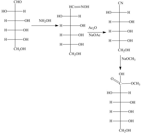 Organic Chemistry (Looseleaf), Chapter 28, Problem 28.51P , additional homework tip  12