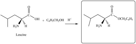 Organic Chemistry - Access (Custom), Chapter 29, Problem 29.40P , additional homework tip  8