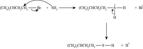 Organic Chemistry - With Access (Looseleaf) (Custom), Chapter 7, Problem 7.19P , additional homework tip  2